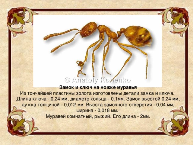 Небольшой проект на тему современный русский левша