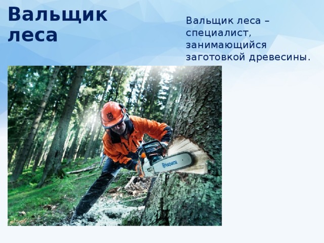 Вальщик леса Вальщик леса – специалист, занимающийся заготовкой древесины. 