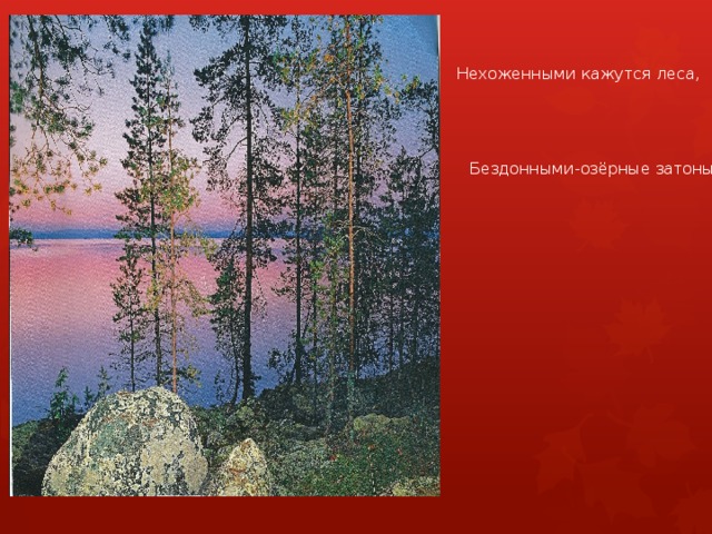Нехоженными кажутся леса, Бездонными-озёрные затоны, 