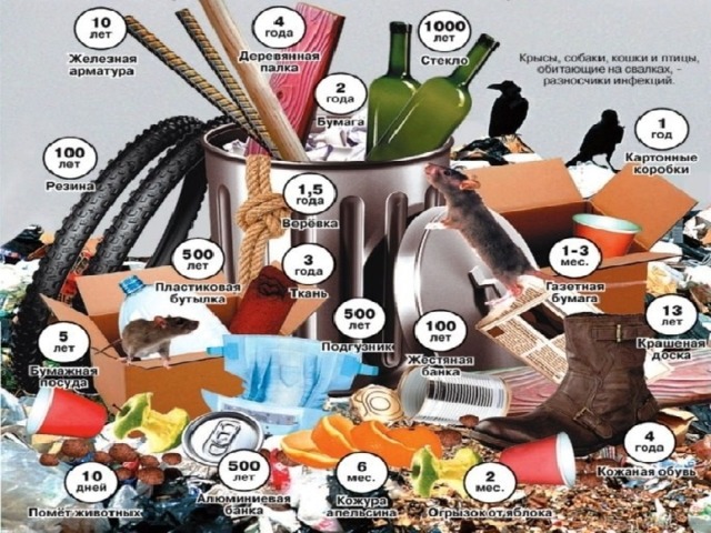 Сколько времени разлагаются различные бытовые отходы