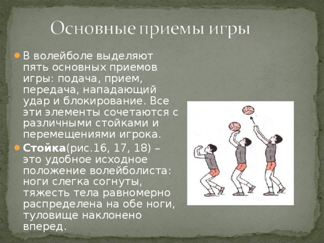 В волейболе выделяют пять основных приемов игры: подача, прием, передача, нападающий удар и блокирование. Все эти элементы сочетаются с различными стойками и перемещениями игрока. Стойка (рис.16, 17, 18) – это удобное исходное положение волейболиста: ноги слегка согнуты, тяжесть тела равномерно распределена на обе ноги, туловище наклонено вперед.