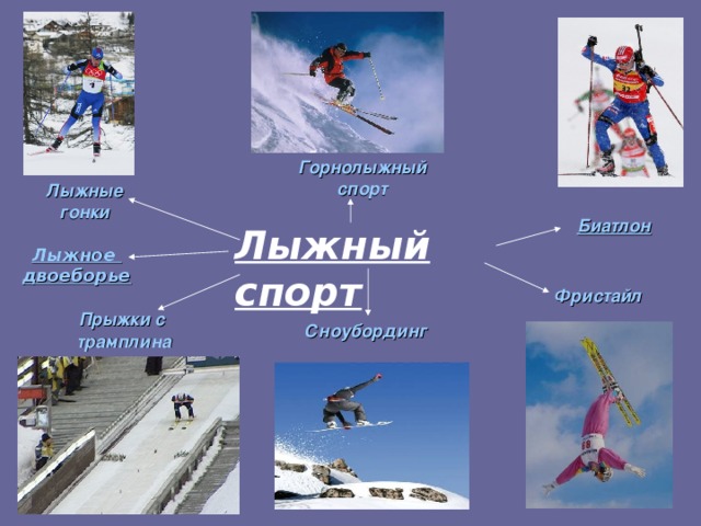 Горнолыжный спорт Лыжные гонки Биатлон Лыжный спорт Лыжное двоеборье Фристайл Прыжки с трамплина Сноубординг