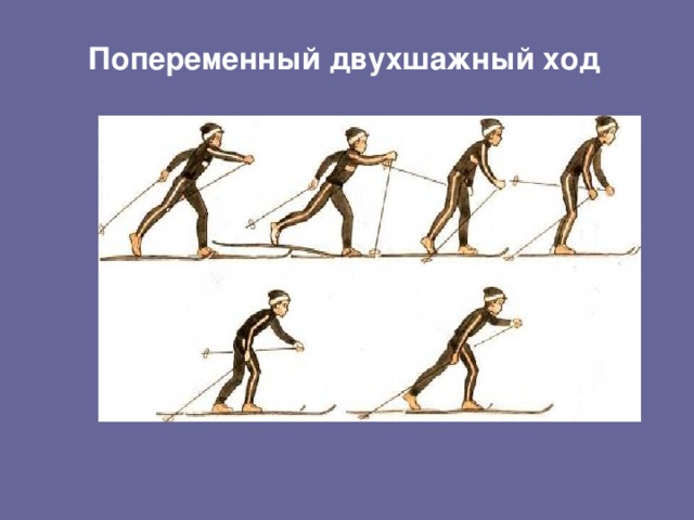 Попеременный двухшажный ход
