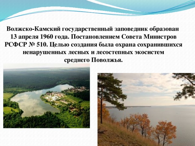 Рассказ о заповеднике 1 класс окружающий мир татарстана для детей с картинками