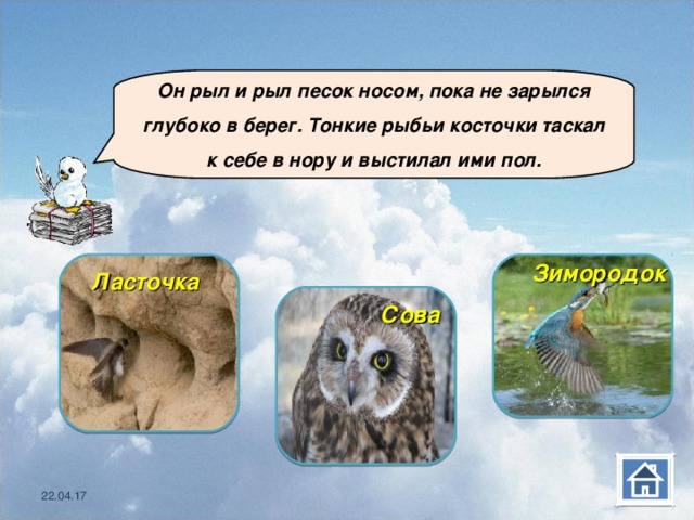  Он рыл и рыл песок носом, пока не зарылся глубоко в берег. Тонкие рыбьи косточки таскал к себе в нору и выстилал ими пол. Ласточка  Зимородок  Сова 22.04.17 22.04.17  