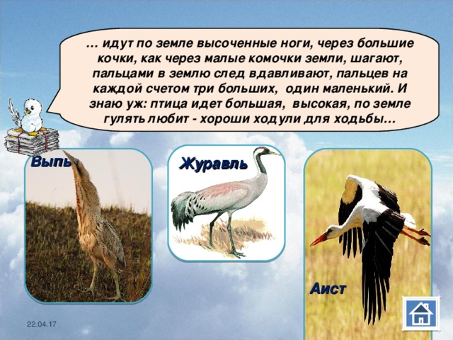  … идут по земле высоченные ноги, через большие кочки, как через малые комочки земли, шагают, пальцами в землю след вдавливают, пальцев на каждой счетом три больших, один маленький. И знаю уж: птица идет большая, высокая, по земле гулять любит - хороши ходули для ходьбы… Журавль         Аист   Выпь     22.04.17 22.04.17 