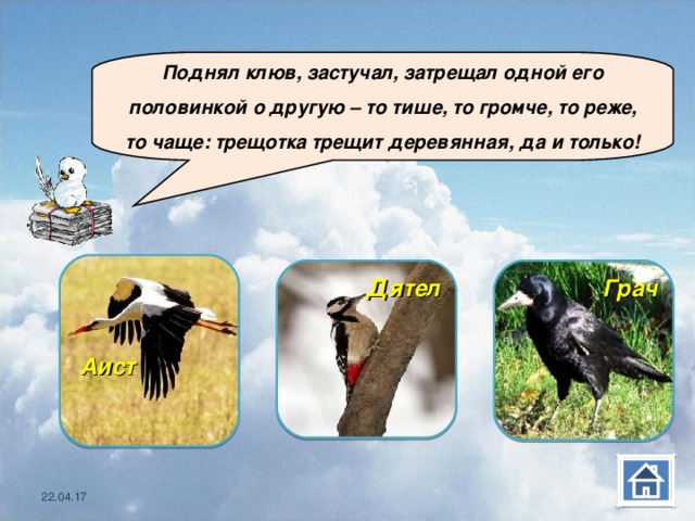  Поднял клюв, застучал, затрещал одной его половинкой о другую – то тише, то громче, то реже, то чаще: трещотка трещит деревянная, да и только!  Аист   Дятел Грач  22.04.17 