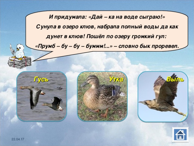  И придумала: «Дай – ка на воде сыграю!» Сунула в озеро клюв, набрала полный воды да как дунет в клюв! Пошёл по озеру громкий гул: «Прумб – бу – бу – буммм!...» – словно бык проревел. Гусь  Утка Выпь  22.04.17 