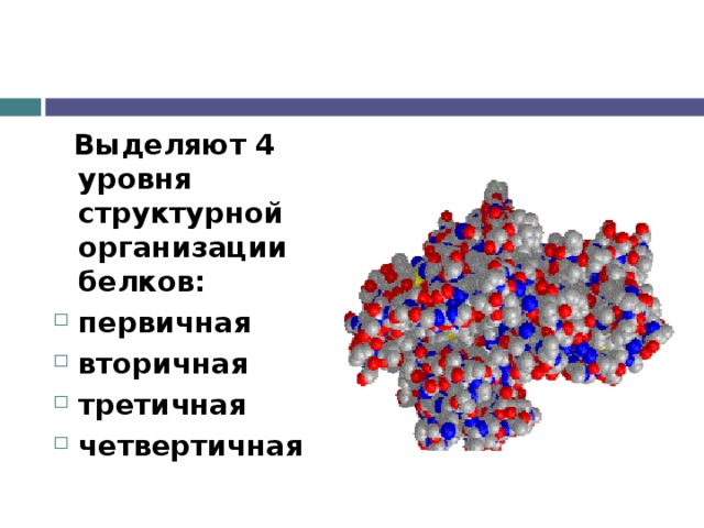  Выделяют 4 уровня структурной организации белков: первичная вторичная третичная четвертичная   