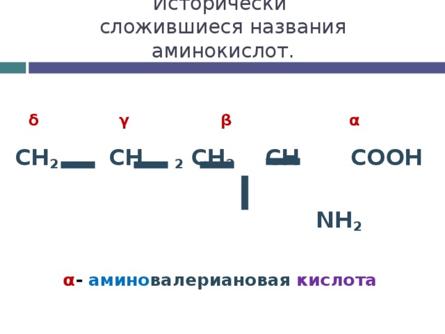 Исторически  сложившиеся названия аминокислот.   CH 2 CH  2 CH 2  CH    COOH   NH 2  δ γ β α    α - амино валериановая  кислота 