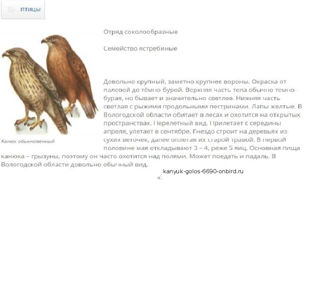 kanyuk-golos-6690-onbird.ru 