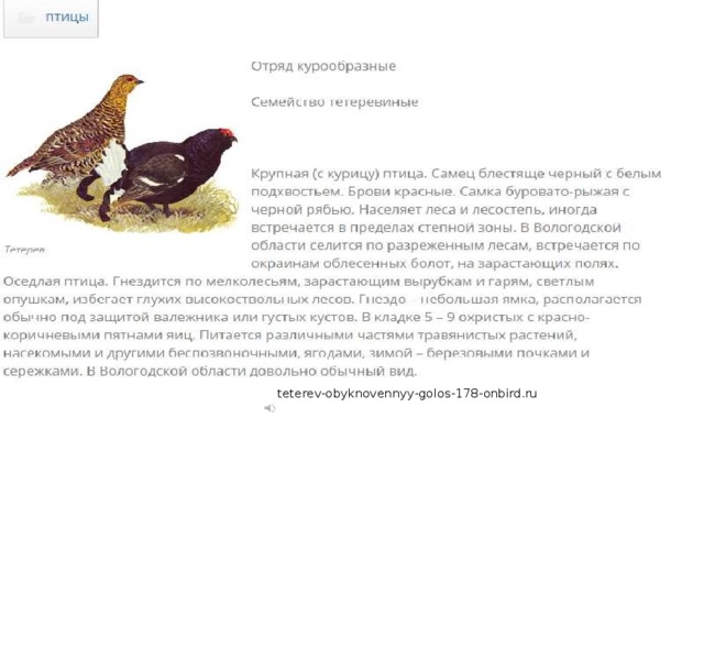 teterev-obyknovennyy-golos-178-onbird.ru 