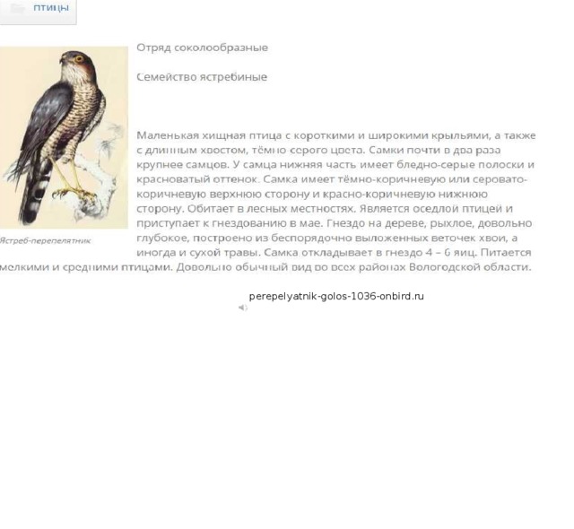 perepelyatnik-golos-1036-onbird.ru 