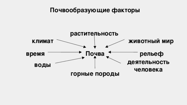 Почвообразующие факторы растительность животный мир климат Почва время рельеф деятельность человека воды горные породы 