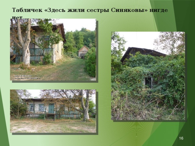 Табличек «Здесь жили сестры Синяковы» нигде нет …    