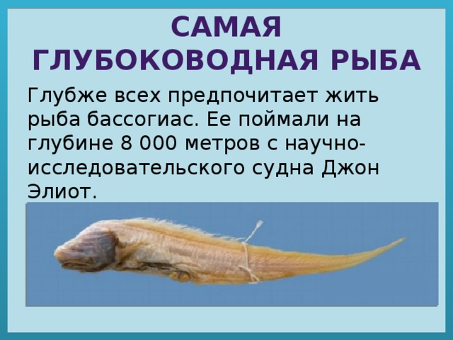 На какой глубине водятся