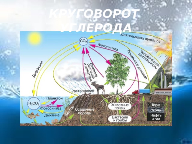 Круговорот веществ в природе схема 9 класс