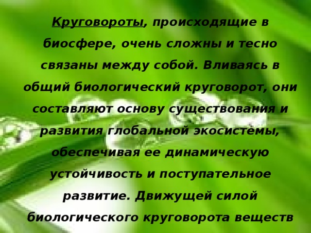 Круговороты , происходящие в биосфере, очень сложны и тесно связаны между собой. Вливаясь в общий биологический круговорот, они составляют основу существования и развития глобальной экосистемы, обеспечивая ее динамическую устойчивость и поступательное развитие. Движущей силой биологического круговорота веществ на нашей планете является жизнедеятельность организмов. 