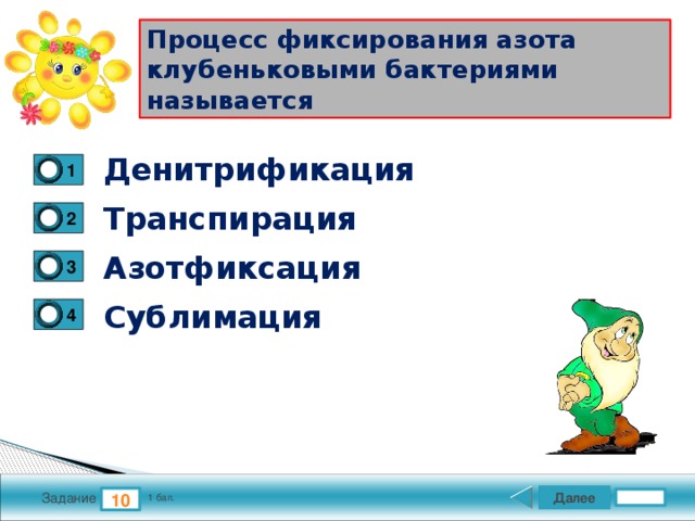 Процесс фиксирования азота клубеньковыми бактериями называется Денитрификация 1 Транспирация 2 Азотфиксация 3 Сублимация 4 Далее 10 Задание 1 бал. 