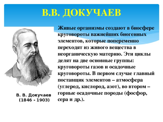 В.В. Докучаев Живые организмы создают в биосфере круговороты важнейших биогенных элементов, которые попеременно переходят из живого вещества в неорганическую материю. Эти циклы делят на две основные группы: круговороты газов и осадочные круговороты. В первом случае главный поставщик элементов – атмосфера (углерод, кислород, азот), во втором – горные осадочные породы (фосфор, сера и др.). В. В. Докучаев  (1846 - 1903)    