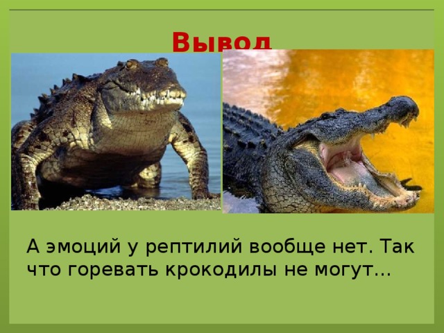 Вывод А эмоций у рептилий вообще нет. Так что горевать крокодилы не могут... 