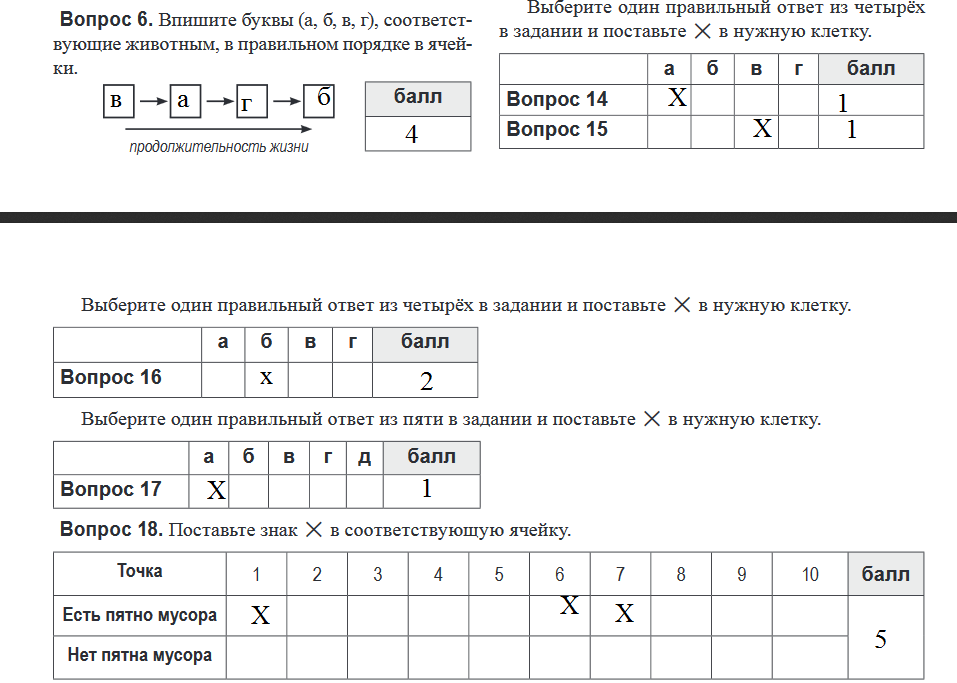 Ответы на вопросы большой диктант