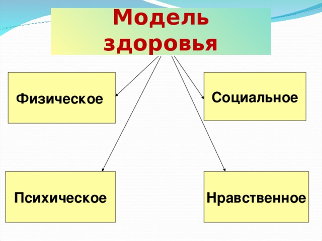 Модель здоровья. Индивидуальная модель здоровья. Компоненты модели здоровья. Модель здоровья схема. Модель моего здоровья.