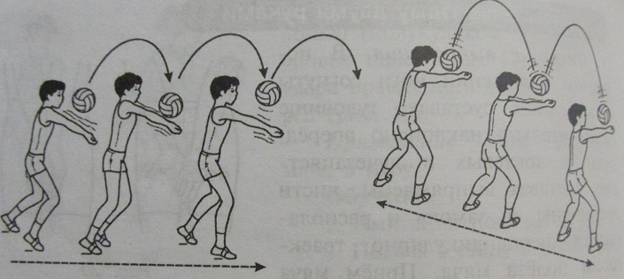 На рисунке показано несколько 1 движений игры. Приём мяча снизу в паре. Подводящие упражнения прием и передача мяча сверху и снизу. Передача мяча снизу над собой в волейболе. Передача мяча двумя руками снизу в парах в волейболе.