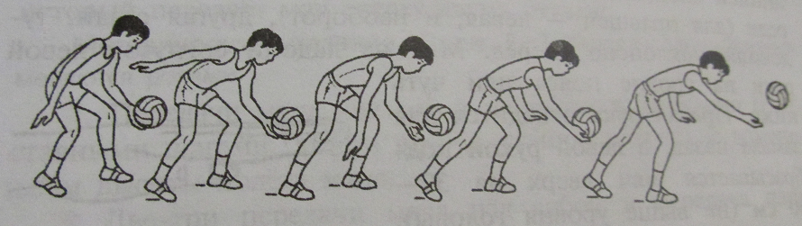 Подача одной рукой снизу. Нижняя прямая подача в волейболе. Нижняя прямая подача прием подачи. Передача мяча в парах через сетку. Нижняя прямая передача в волейболе.