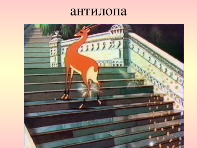 антилопа   