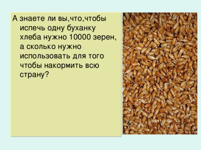 Сколько зерен в кг пшеницы. Сколько нужно зерна чтобы испечь 1 буханку хлеба. Сколько зерна нужно на одну булку хлеба. Сколько нужно зёрен для хлеба. Количество зерен в 1 кг пшеницы.