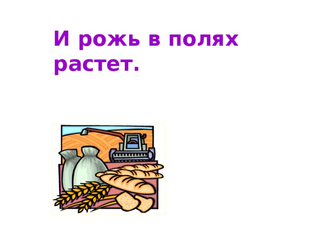 И рожь в полях растет.  