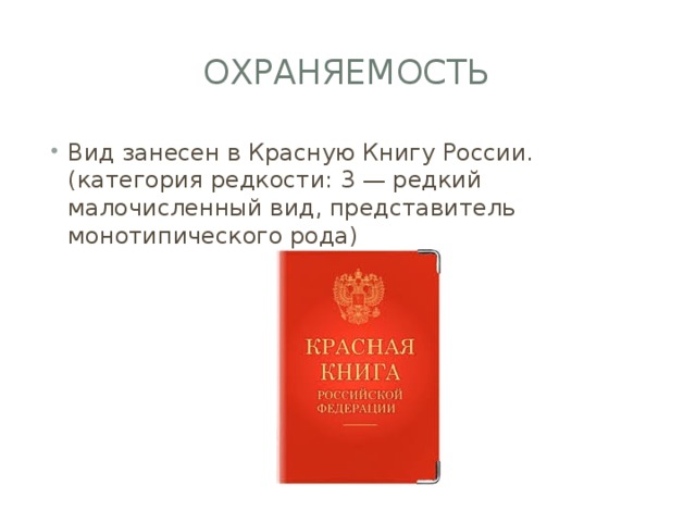 охраняемость Вид занесен в Красную Книгу России. (категория редкости: 3 — редкий малочисленный вид, представитель монотипического рода) 
