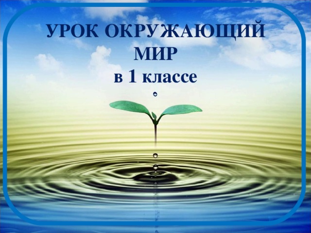 Вода наше богатство проект 2 класс