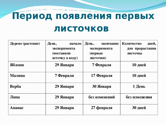 Даты появилась. Дата появления 1 листочков. Даты наблюдений появились первые корни. Дата появления первых листьев. Растение Дата черенкования Дата появления первого корня.