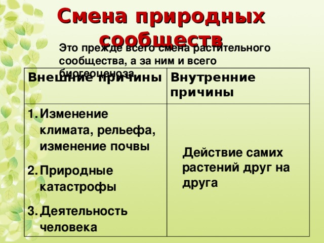 Смена природных происходит. Причины смены природных сообществ. Смена природных сообществ. Внешние причины смены природных сообществ. Причины природного смены природных сообществ.