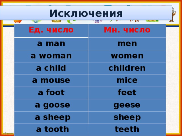 Sheep множественное число. Тапки множественное число. Тапочки ед число. Тапок множественное число. Исключения man woman children.