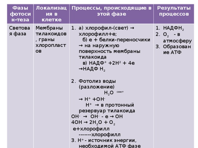 Выберите процессы происходящие в световой фазе фотосинтеза. Фазы фотосинтеза таблица процессы происходящие в этой фазе. Локализация световой фазы. Фазы фотосинтеза и процессы протекающие в них. Световая фаза локализация в клетке.