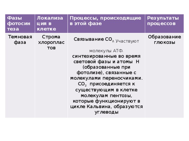 Выберите процессы происходящие в световой фазе фотосинтеза. Фазы фотосинтеза происходящие процессы. Фазы фотосинтеза процессы происходящие в этой. Таблица темновая фаза фотосинтеза локализация. Фотосинтез таблица фазы процессы и Результаты.