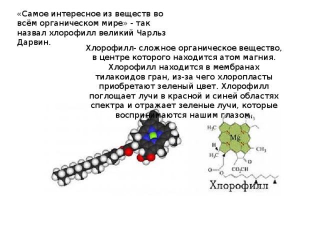 Процесс хлорофилла