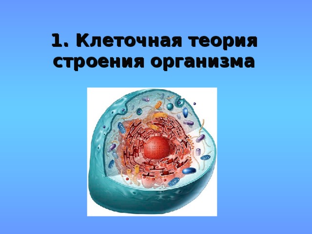1. Клеточная теория строения организма 