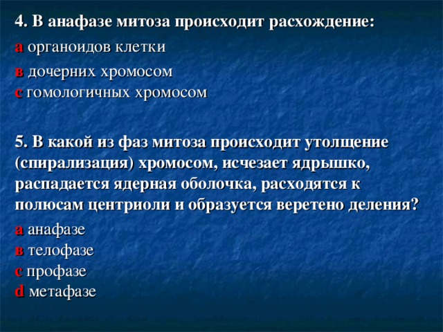 В процессе анафазы происходит. В анафазе митоза происходит расхождение.