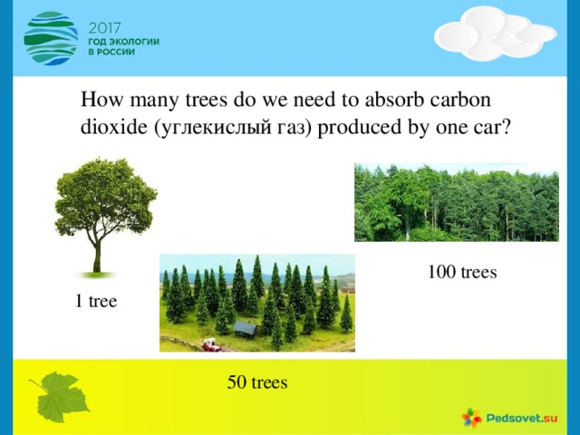 How many trees do we need to absorb carbon dioxide (углекислый газ) produced by one car?  100 trees 1 tree 50 trees 