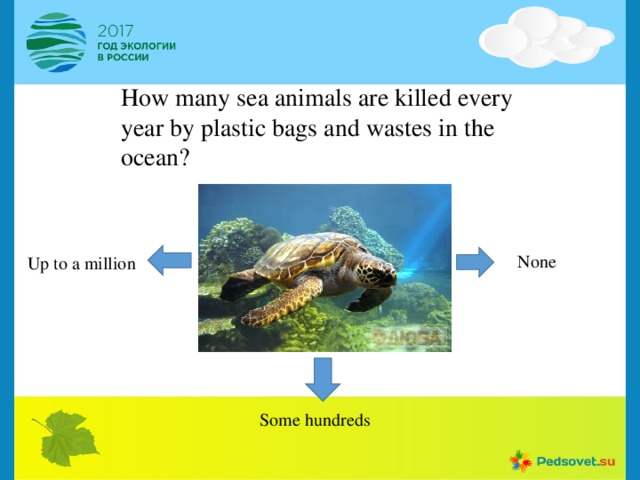 How many sea animals are killed every year by plastic bags and wastes in the ocean?  None Up to a million Some hundreds 