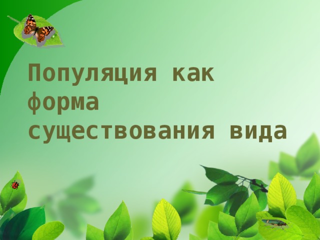 Популяция как форма существования вида 
