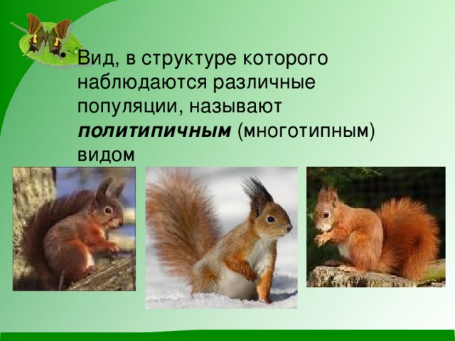 Вид, в структуре которого наблюдаются различные популяции, называют политипичным (многотипным) видом 