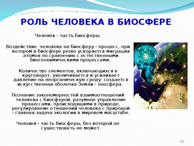 Проект человек часть биосферы