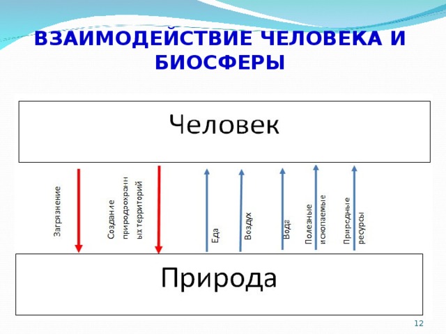 Человек часть биосферы самостоятельно составьте схему показывающую взаимность природы и человека