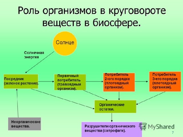 Ответственность человека за состояние биосферы презентация