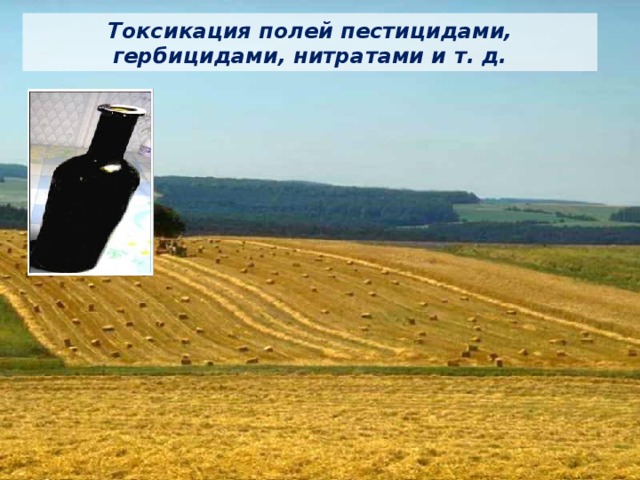 Токсикация полей пестицидами, гербицидами, нитратами и т. д. 